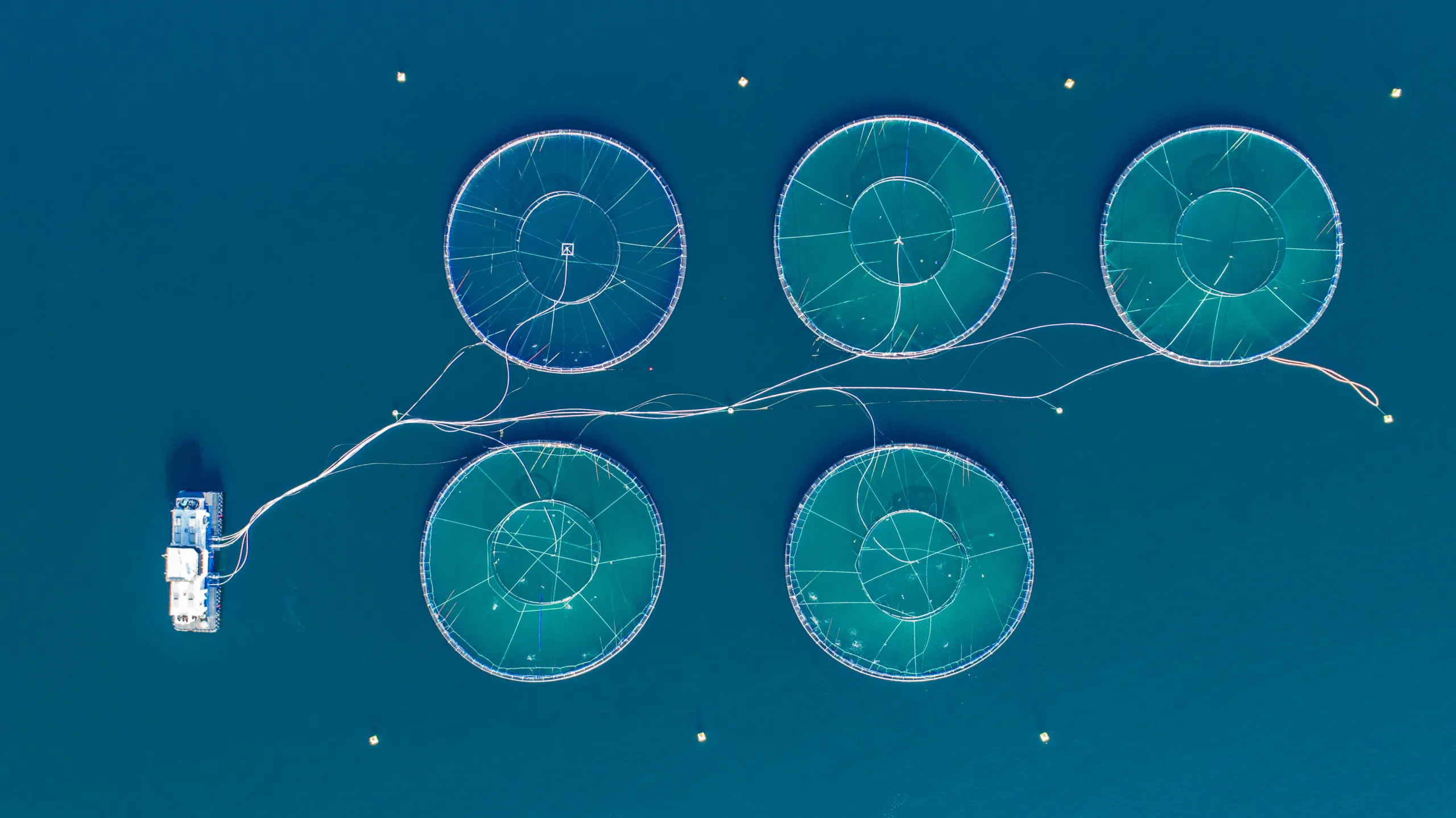 Aquaculture pens in the water